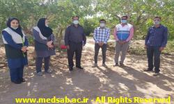 حسین سلطانی ، شبکه بهداشت خوشاب ، روابط عمومی ، دانشگاه علوم پزشکی سبزوار ،بهداشت ، سلطان آباد ، جونده کشی، سال 1401 ، هفته سلامت حسین سلطانی ، شبکه بهداشت خوشاب ، روابط عمومی ، دانشگاه علوم پزشکی سبزوار ،بهداشت ، سلطان آباد ، جونده کشی، سال 1401 ، هفته سلامت